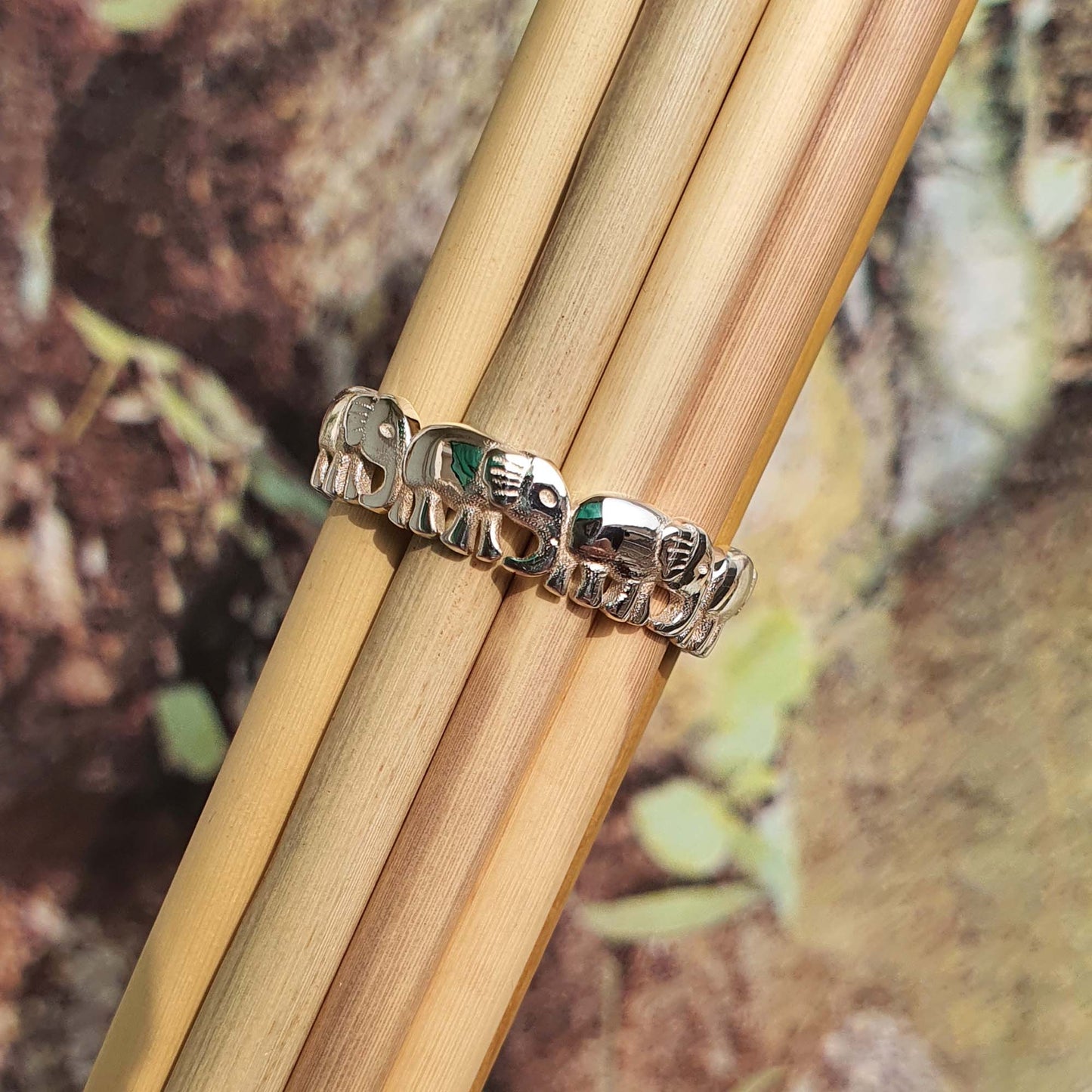 elephant ring