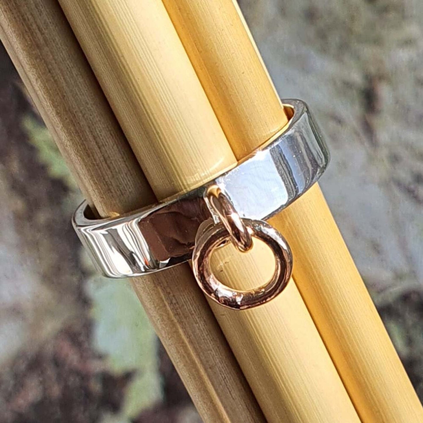 bdsm slave ring