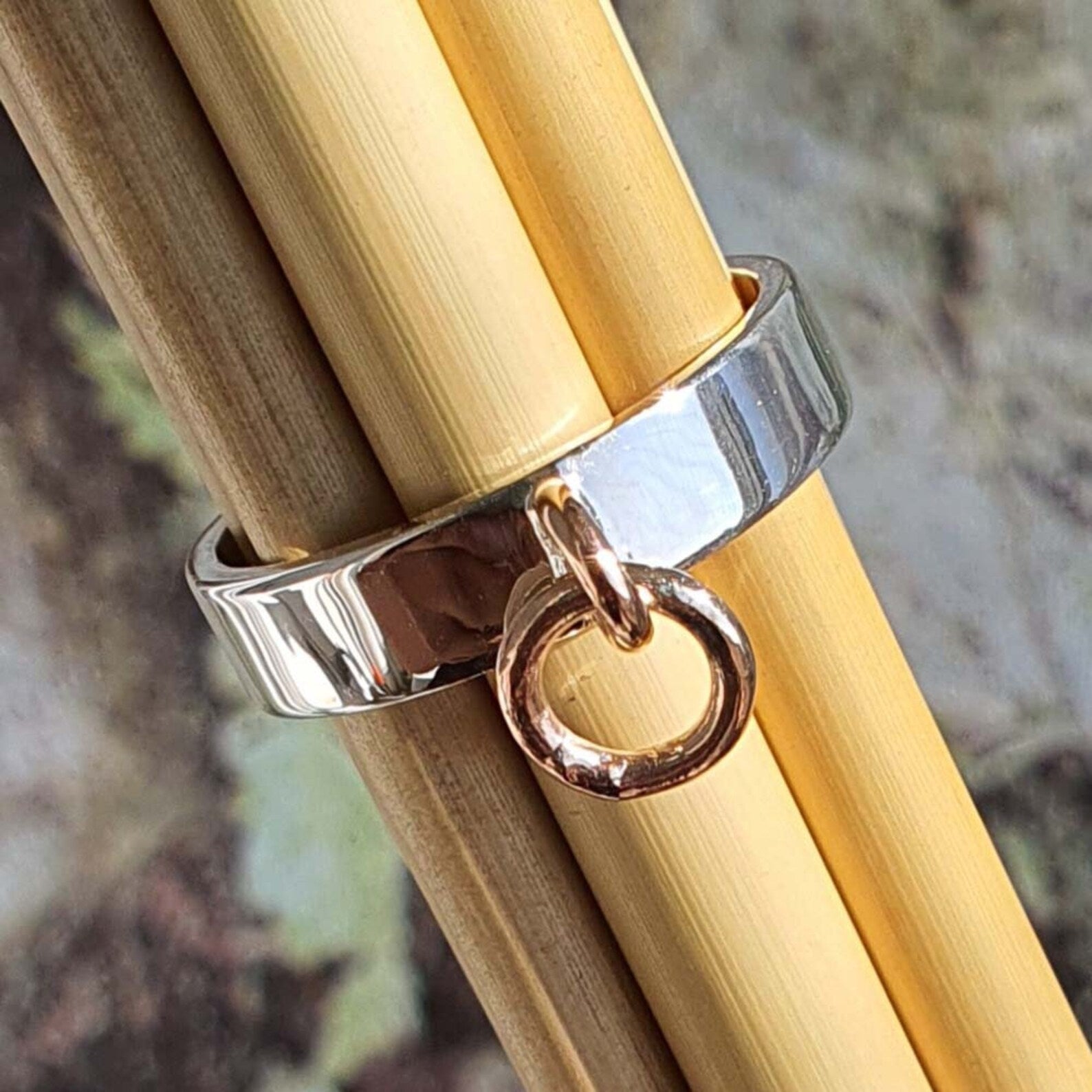 bdsm slave ring