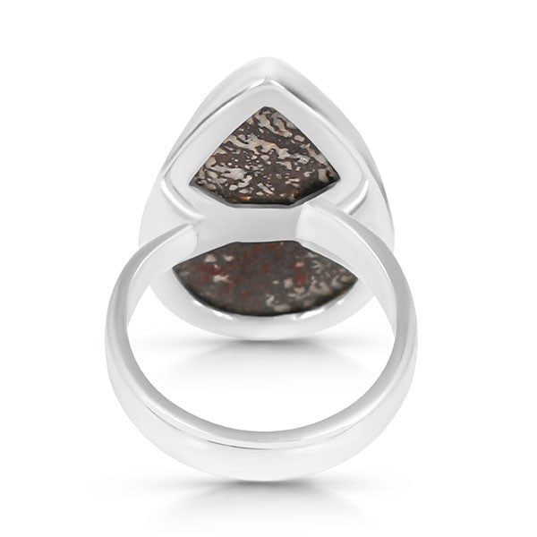 Dinosaur Bone Silver ring